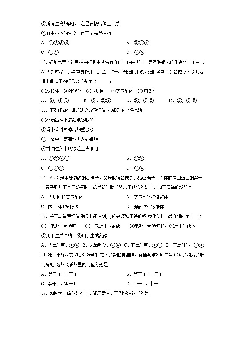 黑龙江省哈尔滨市宾县2020-2021学年高三9月月考生物试题（word版含答案）第3页