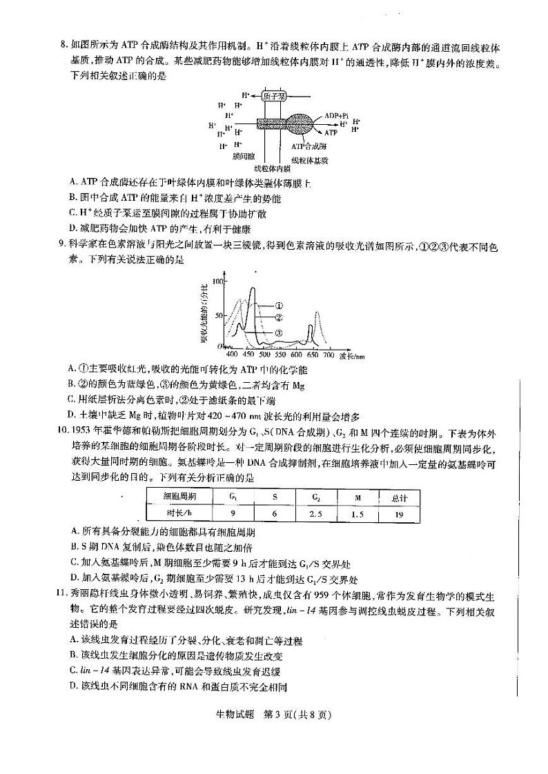 河南省天一大联考2022届高三上学期阶段性测试（二） 生物  扫描版含解析03