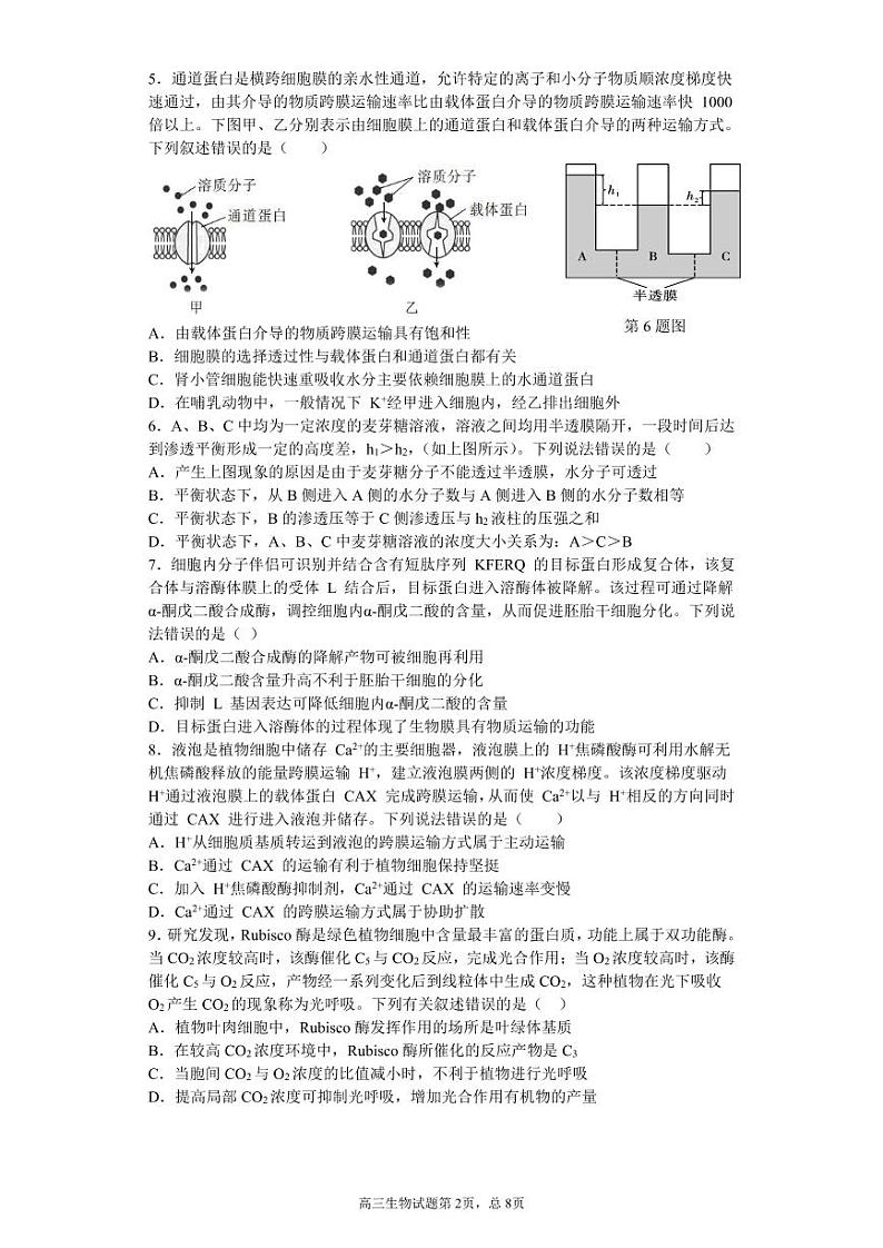 山东省潍坊第四中学2022届高三上学期收心考试生物试题+PDF版缺答案第2页
