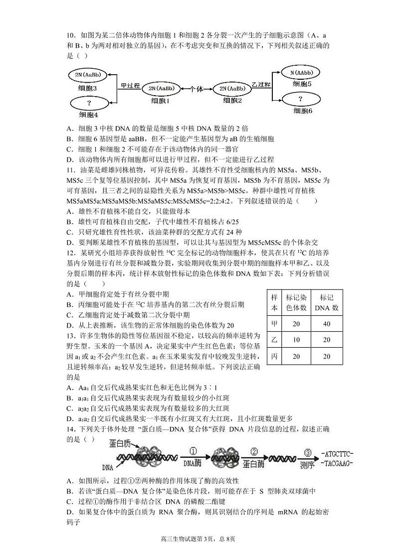 山东省潍坊第四中学2022届高三上学期收心考试生物试题+PDF版缺答案第3页