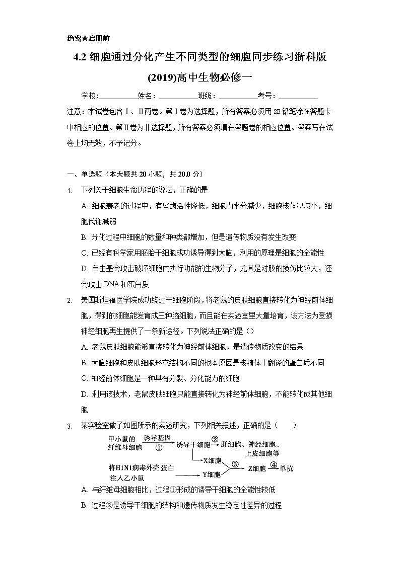 4.2细胞通过分化产生不同类型的细胞 同步练习浙科版 (2019)高中生物必修一01
