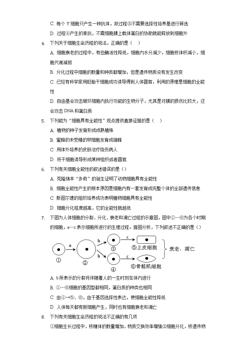 4.2细胞通过分化产生不同类型的细胞 同步练习浙科版 (2019)高中生物必修一02