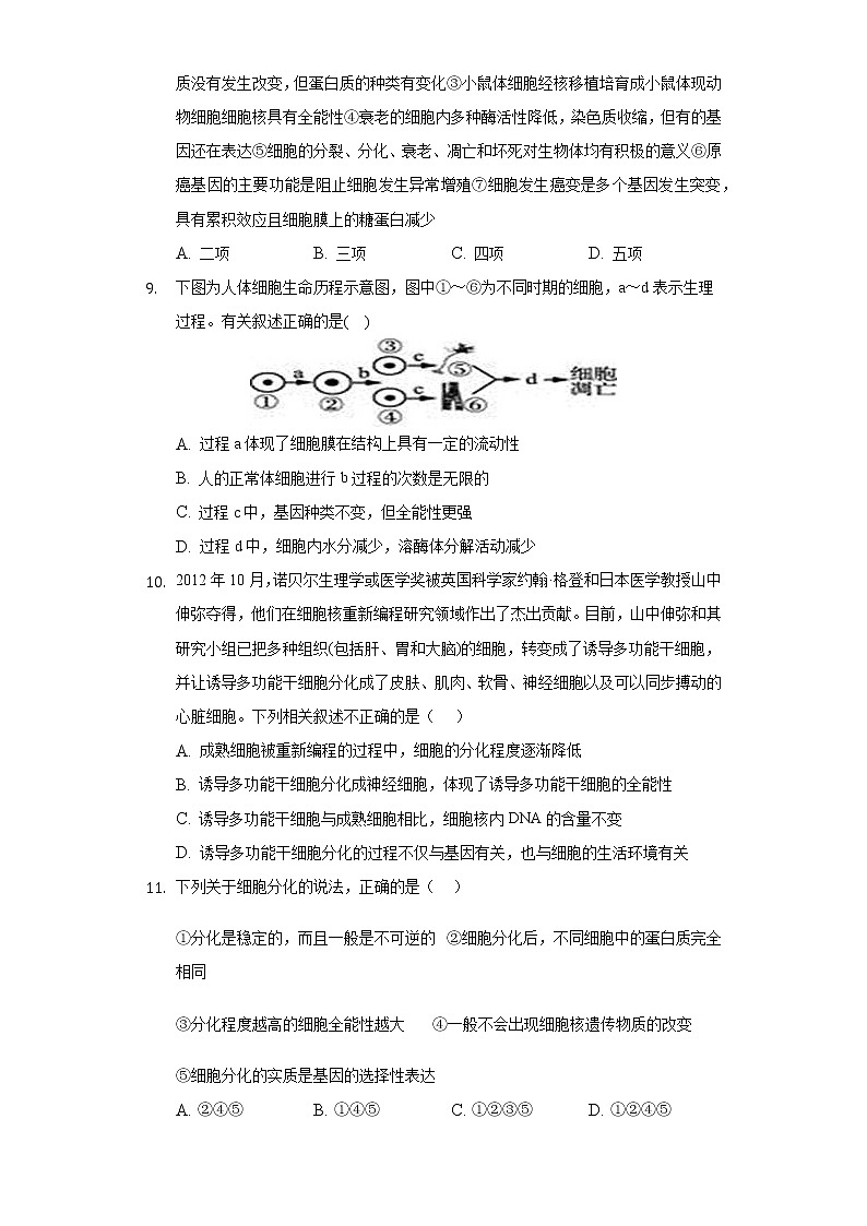 4.2细胞通过分化产生不同类型的细胞 同步练习浙科版 (2019)高中生物必修一03
