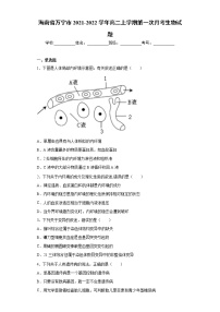 海南省万宁市2021-2022学年高二上学期第一次月考生物试题（word版含答案）