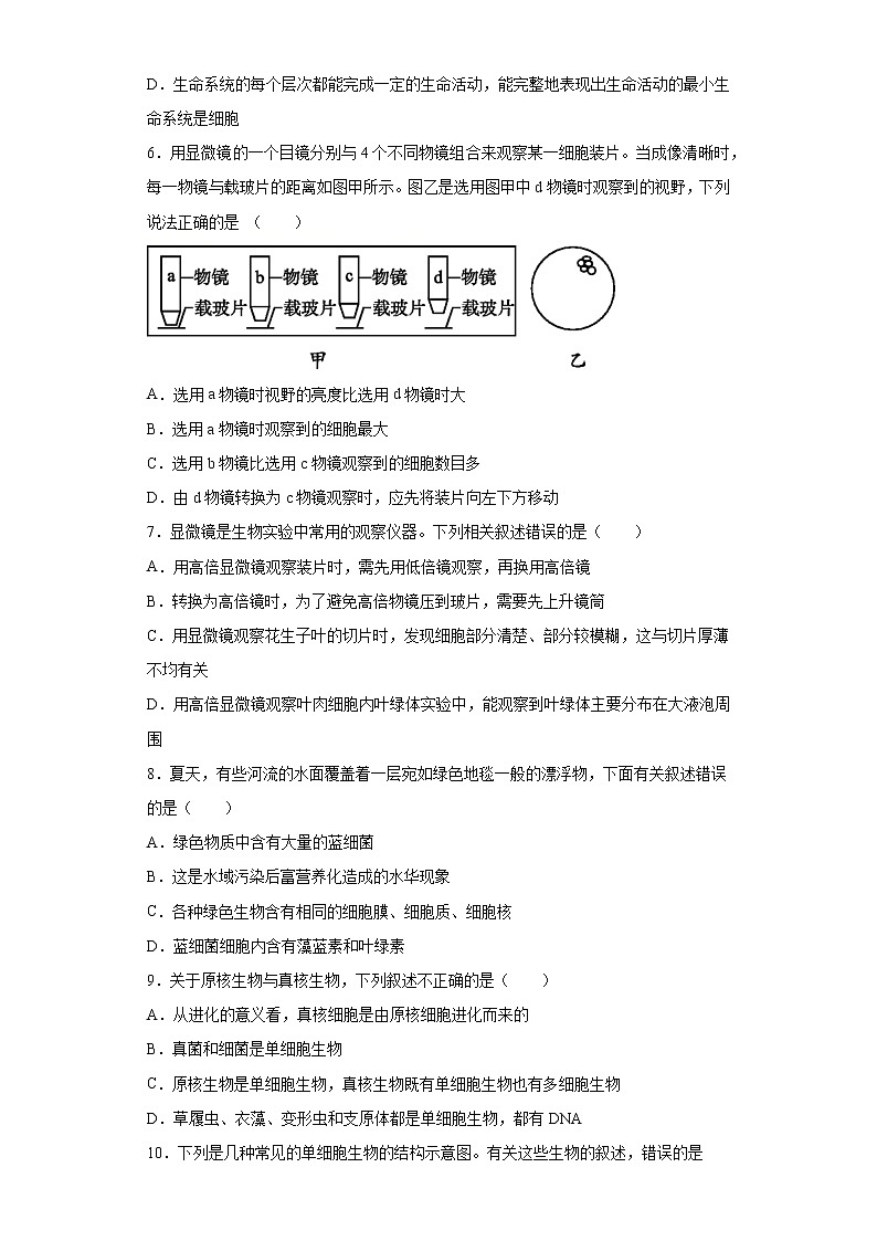 广东省深圳市南山区2021-2022学年高一上学期第一阶段考试生物试题（word版含答案）02