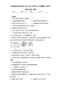 甘肃省庆阳市合水县2020-2021学年高二上学期第二次月考生物（理）试题（word版含答案）