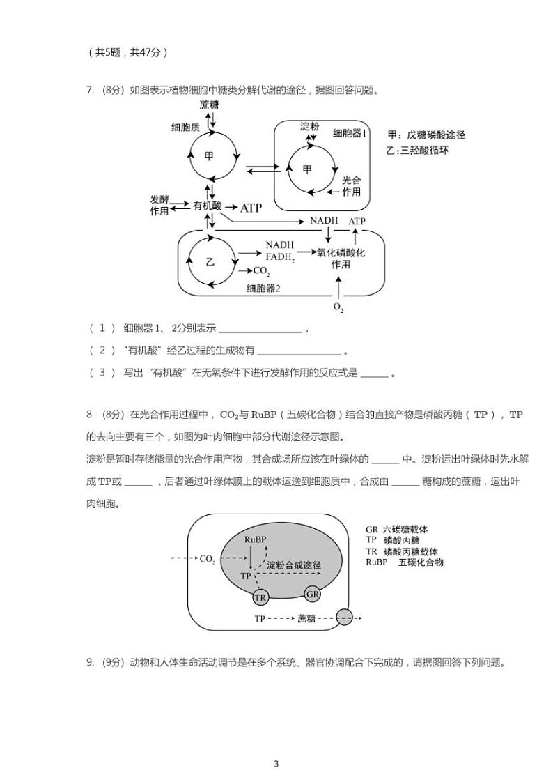 2018年广东深圳高考一模生物试卷（含答案）03