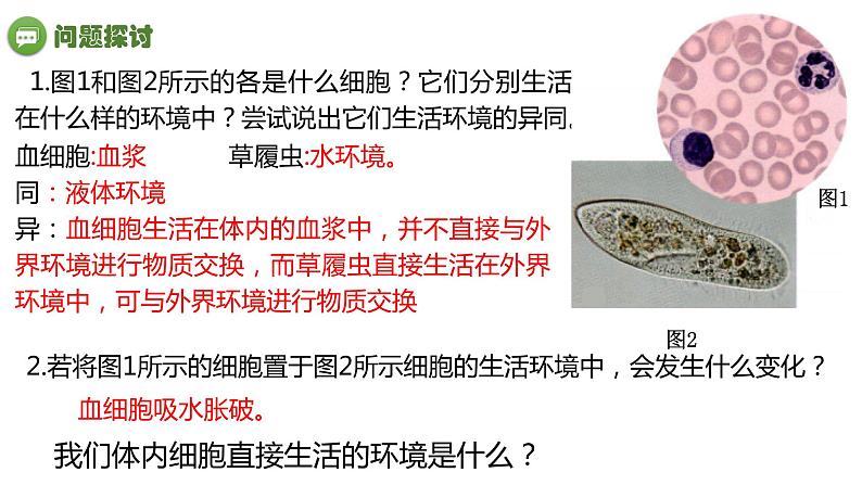 1.1细胞生活的环境(2课时）课件PPT03