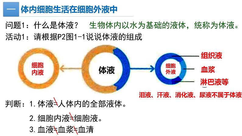 1.1细胞生活的环境(2课时）课件PPT04