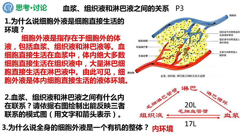 1.1细胞生活的环境(2课时）课件PPT05