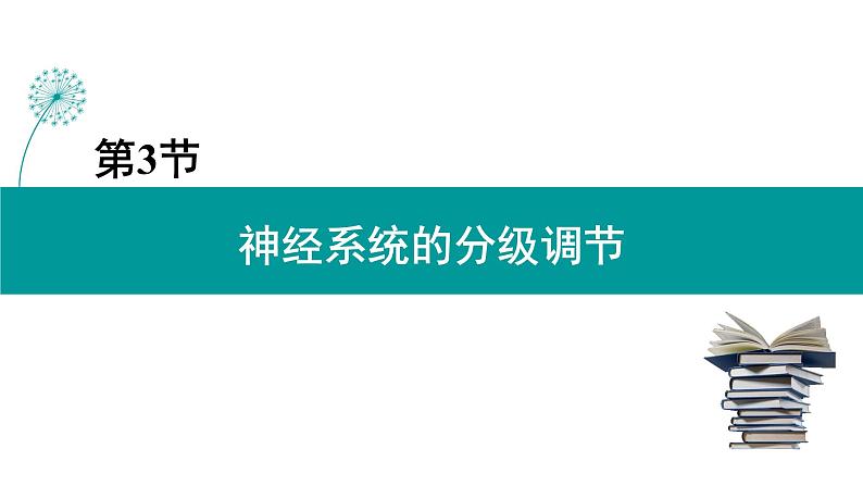 2.4 神经系统的分级调节课件PPT01