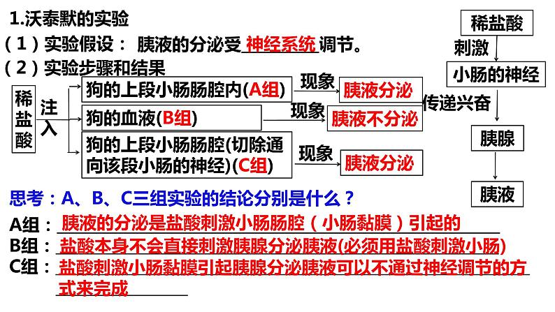 3.1 激素与内分泌系统（2课时）课件PPT第8页