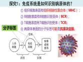 4.2特异性免疫(第1课时）课件PPT