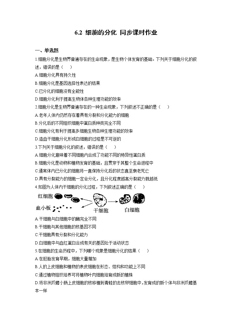 新人教版高中生物必修1：6.2 细胞的分化 作业 练习01