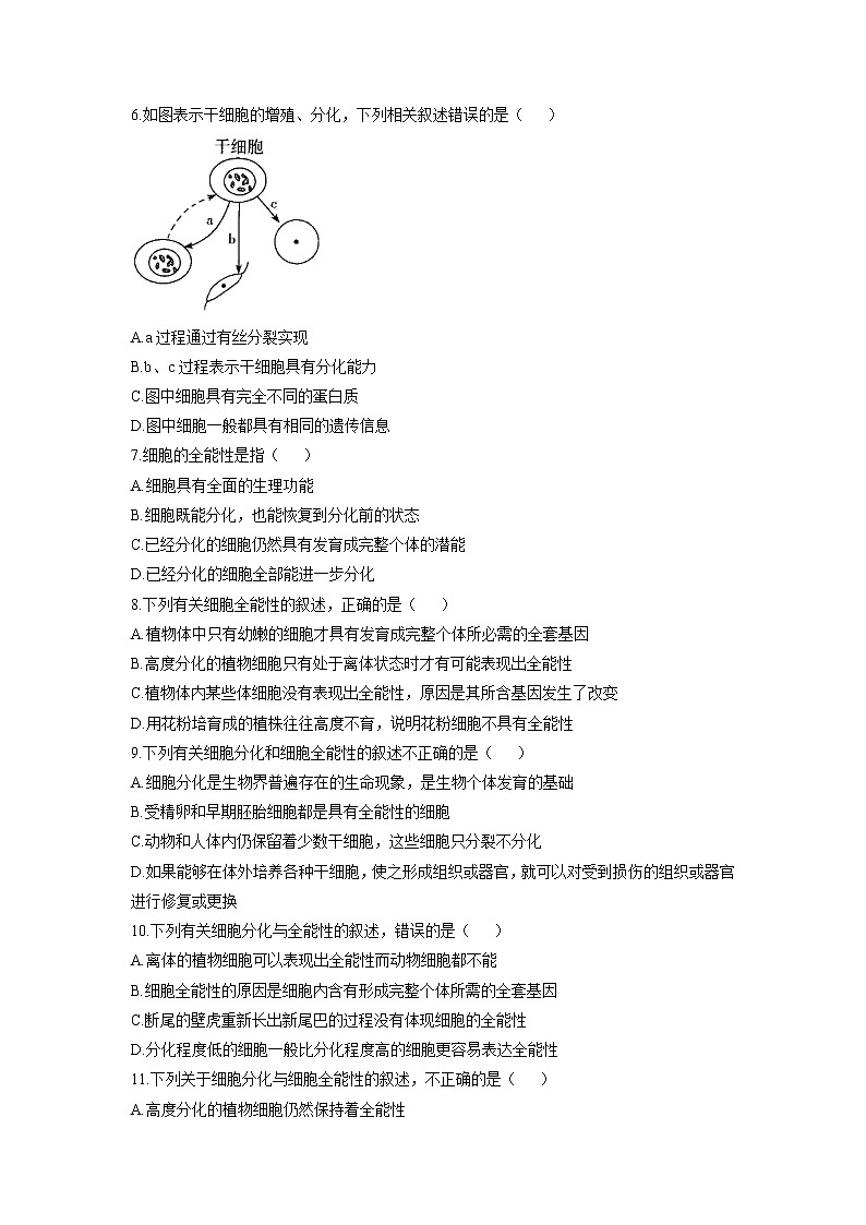 新人教版高中生物必修1：6.2 细胞的分化 作业 练习02