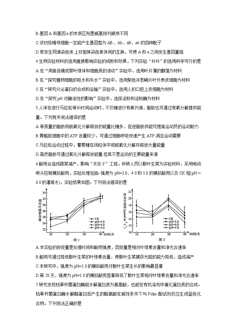 2022届高三普通高等学校全国统一招生考试青桐鸣10月大联考 生物 含答案第2页