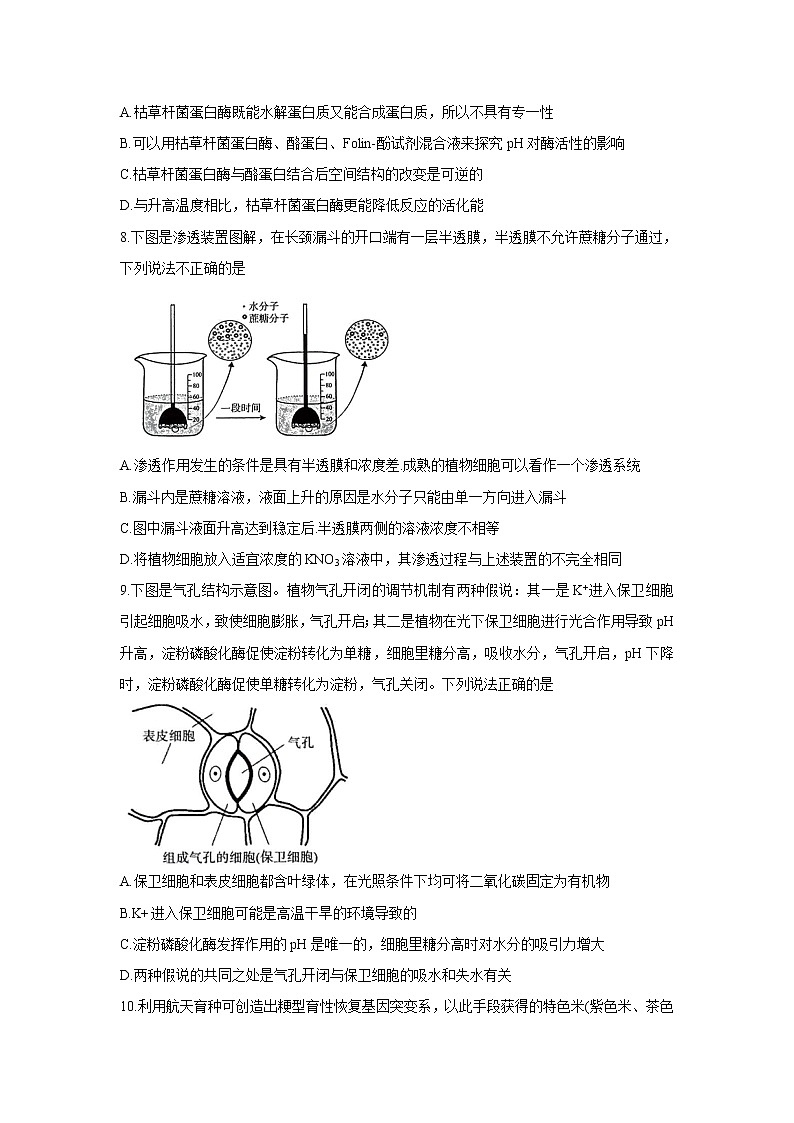 2022届高三普通高等学校全国统一招生考试青桐鸣10月大联考 生物 含答案第3页
