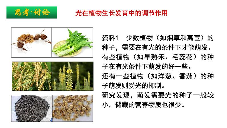 5.4环境因素参与调节植物的生命活动课件PPT04