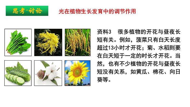 5.4环境因素参与调节植物的生命活动课件PPT06