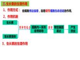 5.1 植物生长素（第二课时）课件PPT