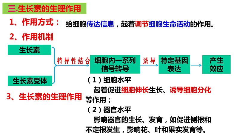 5.1 植物生长素（第二课时）课件PPT05