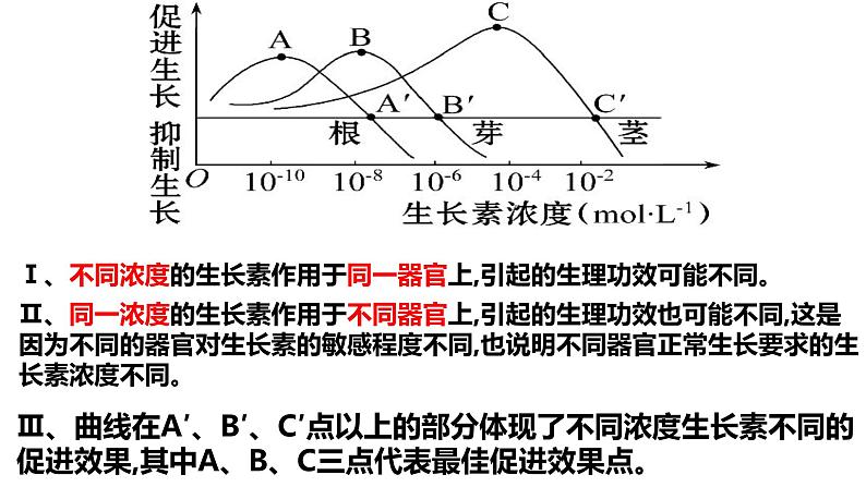 5.1 植物生长素（第二课时）课件PPT08