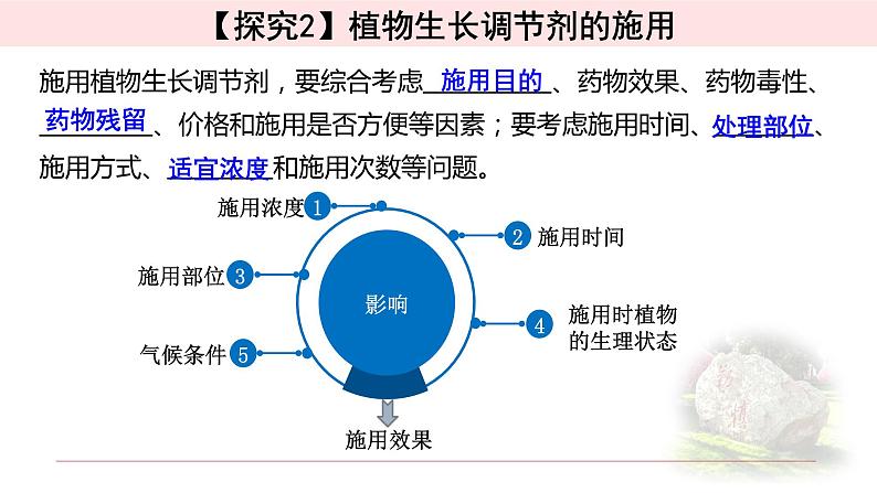 5.3植物生长调节剂的应用课件PPT第8页