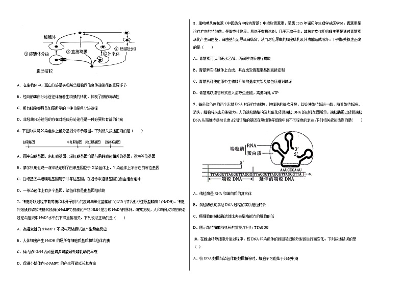 山东省枣庄滕州市第二中学2022届高三上学期第一次质量检测生物试题 含答案第2页