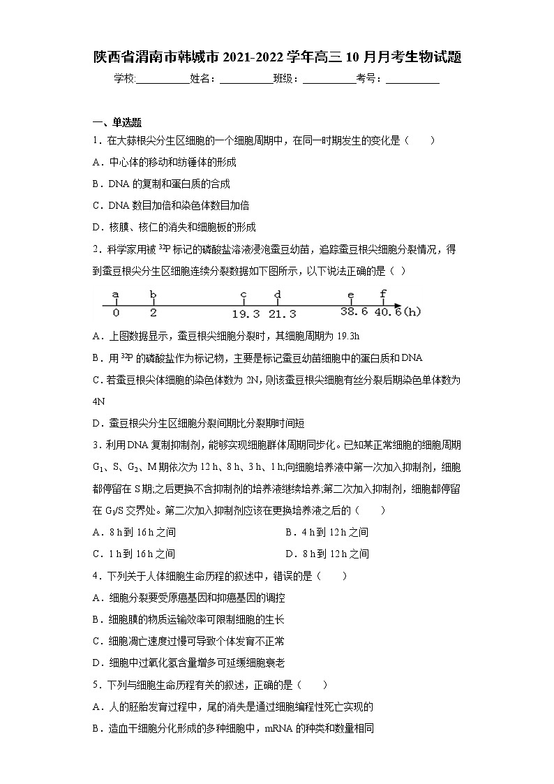 陕西省渭南市韩城市2021-2022学年高三10月月考生物试题（word版含答案）01
