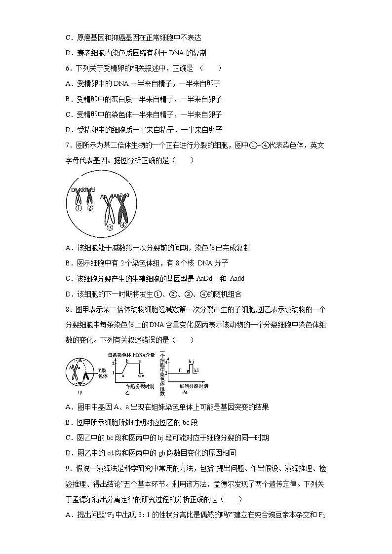 陕西省渭南市韩城市2021-2022学年高三10月月考生物试题（word版含答案）02