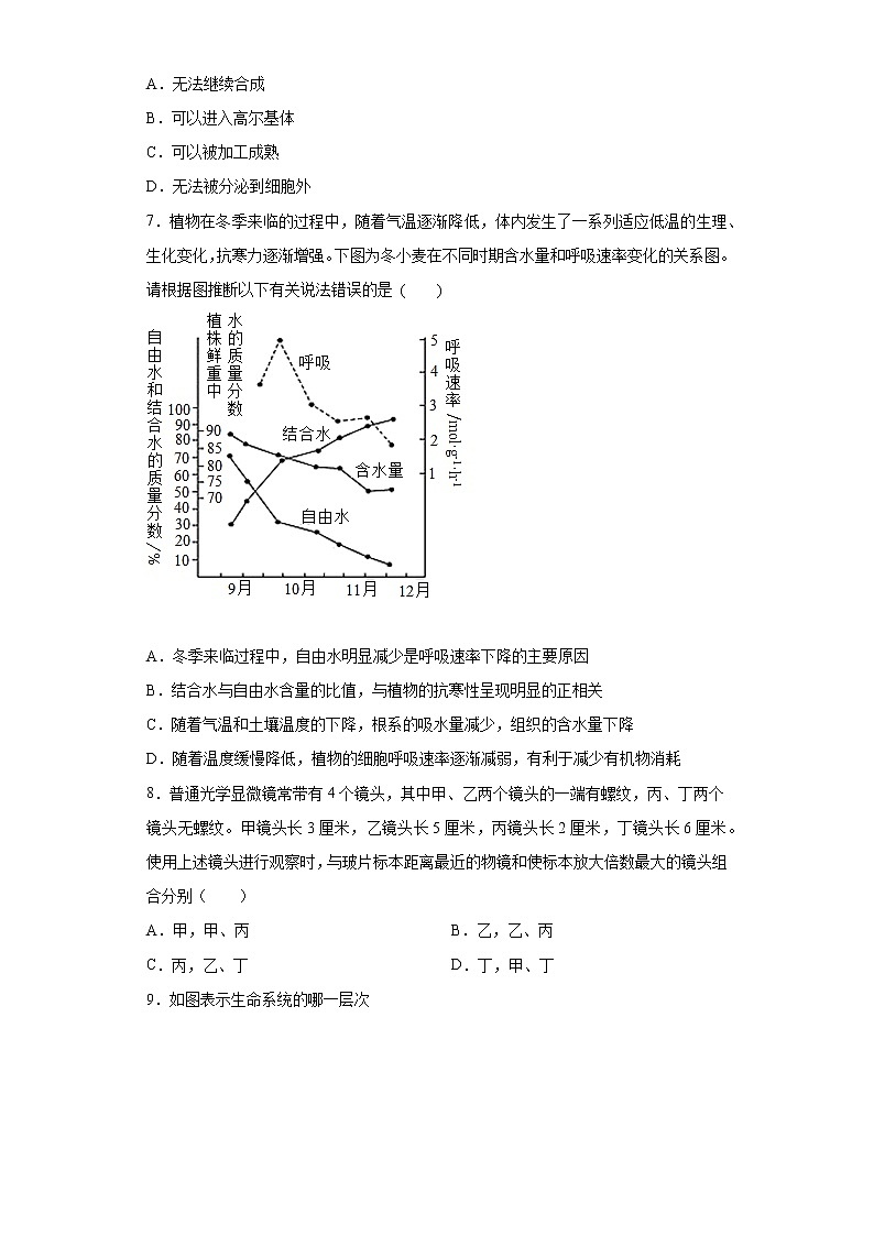 山东省济南市2021-2022学年高一10月阶段测试（A）生物试题（word版含答案）03