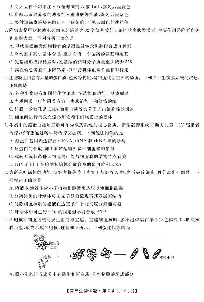 安徽省亳州市涡阳县第九中学2022届高三上学期9月月考生物试题 PDF版含答案02