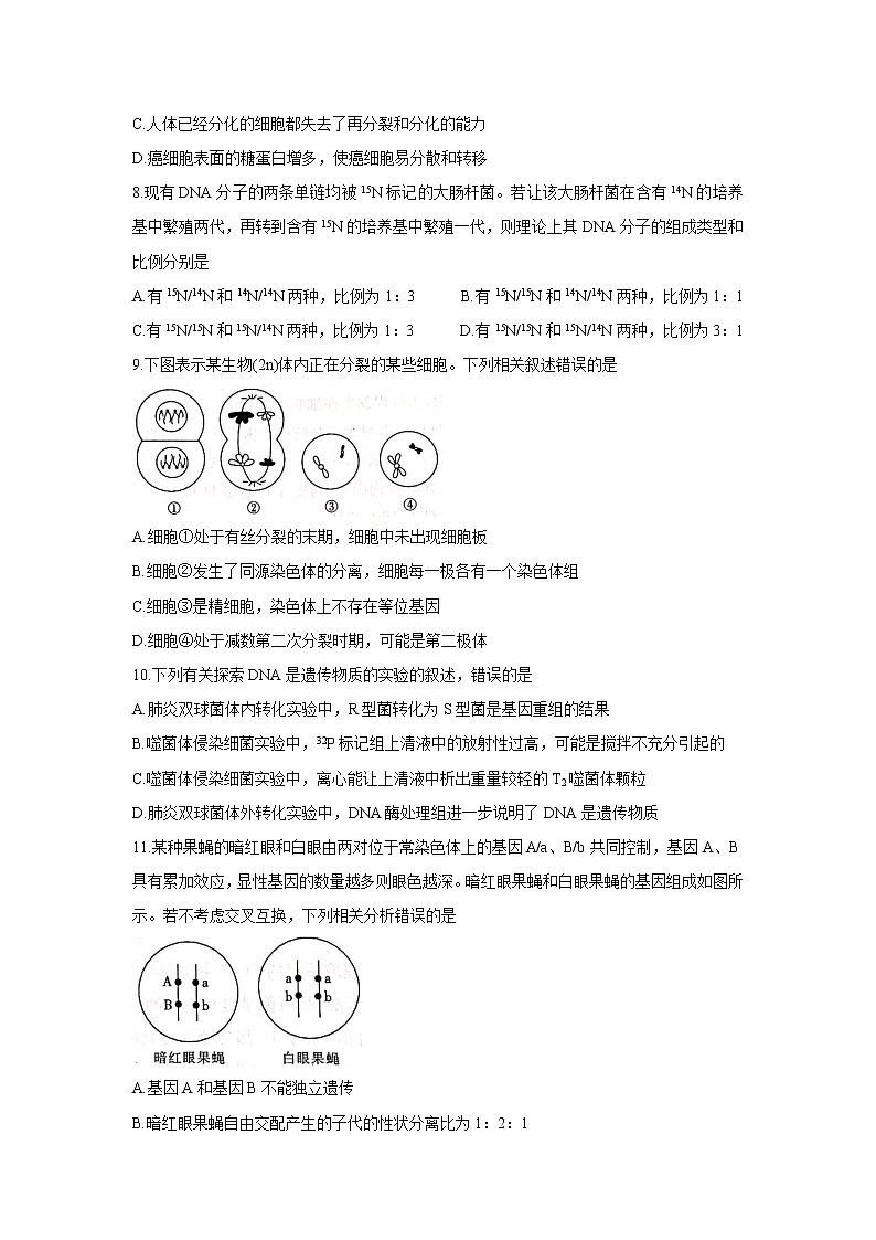 河北省邢台市“五岳联盟”2022届高三上学期10月联考 生物 含答案 试卷03