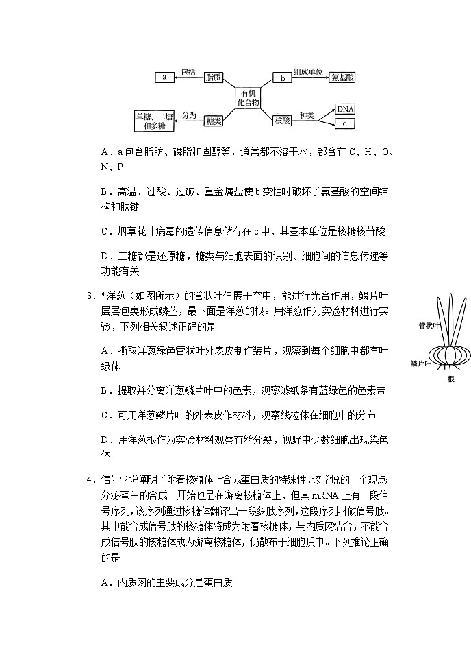 重庆市西南大学附属中学校2022届高三上学期第二次月考生物试题 含答案第2页
