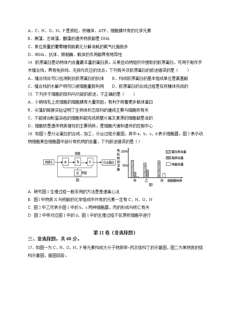广东省普宁市普师高级中学2022届高三上学期第二次阶段考生物试题 含答案03