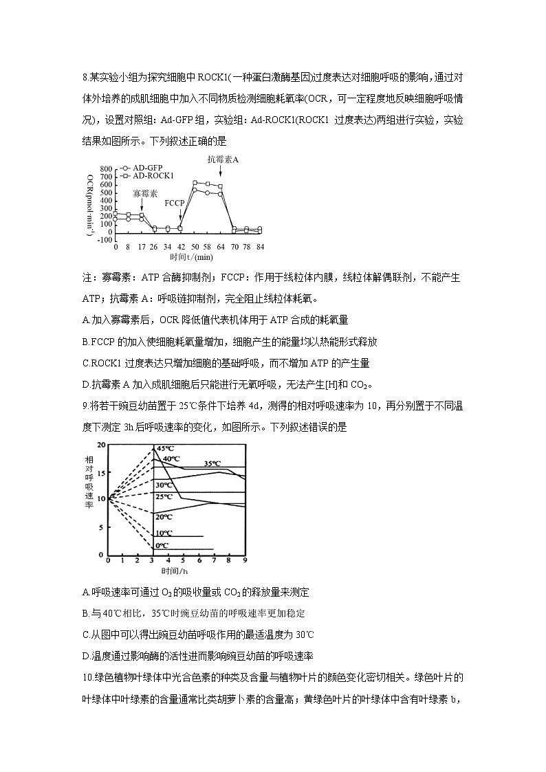 山东省“山东学情”2022届高三上学期10月联合考试试题 生物B 含答案03