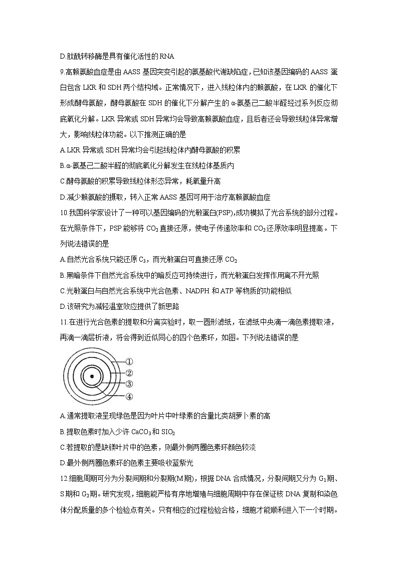 山东省“山东学情”2022届高三上学期10月联合考试 生物A 含答案03