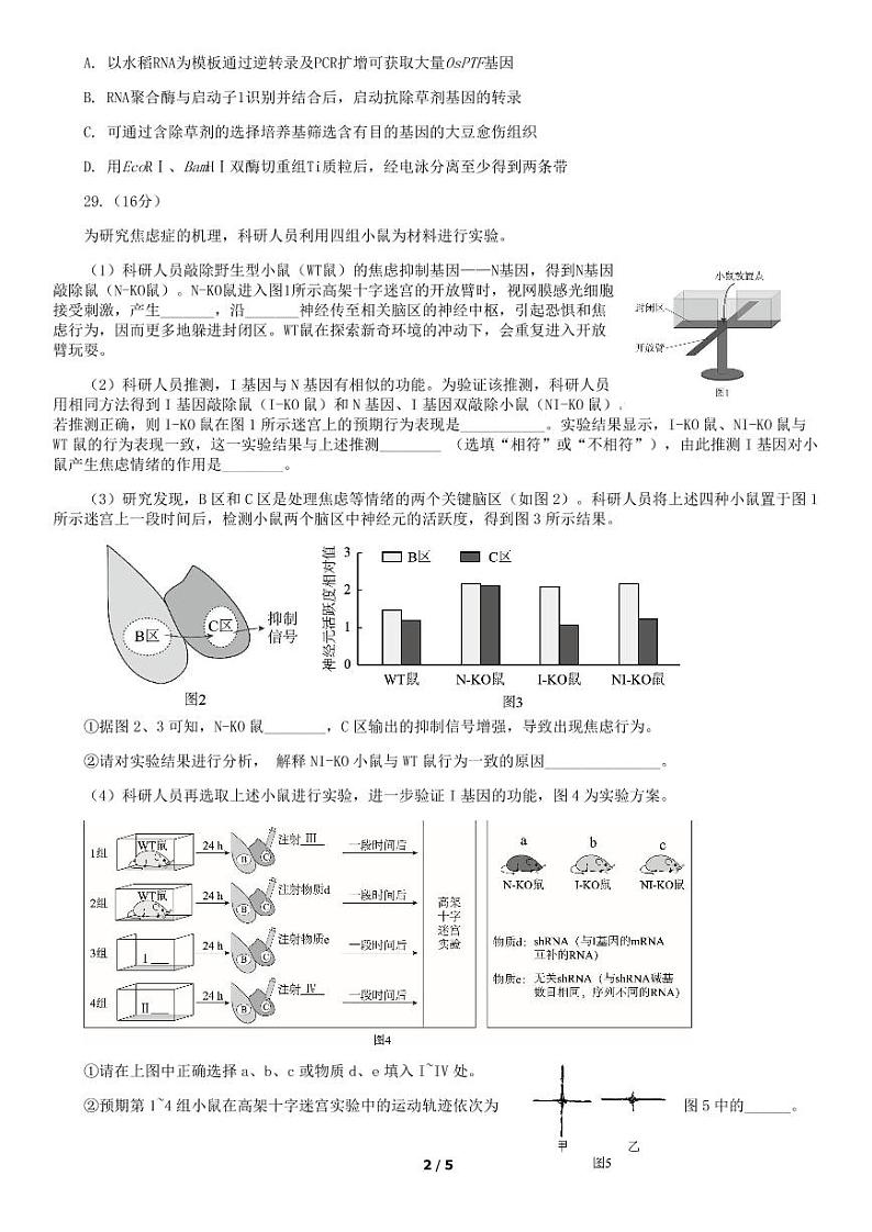 2019年北京海淀区高三二模生物试题及答案第2页