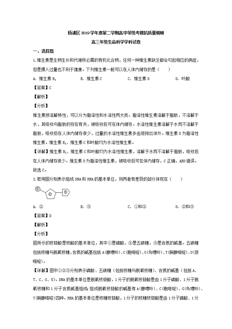 上海市杨浦区2020届高三二模考试生物试题+Word版含解析第1页