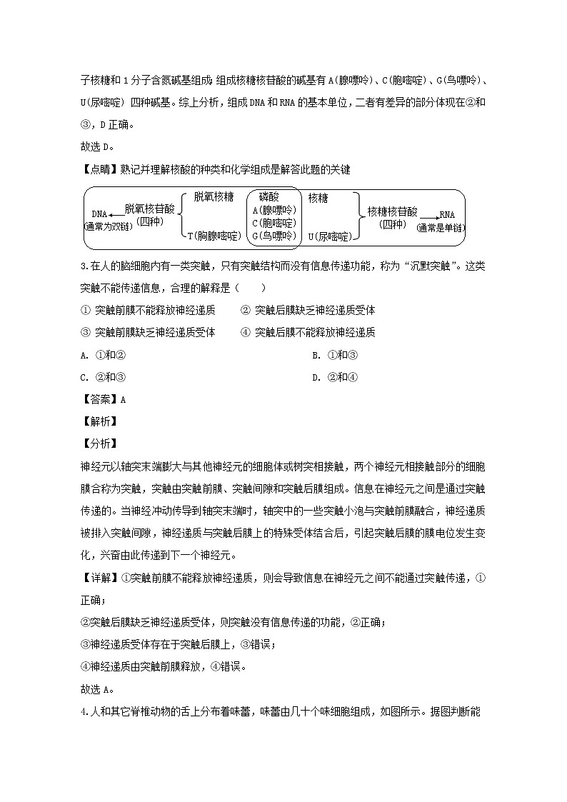 上海市杨浦区2020届高三二模考试生物试题+Word版含解析第2页