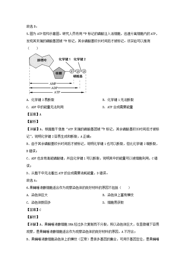 上海市崇明区2020届高三二模考试生物试题+Word版含解析03