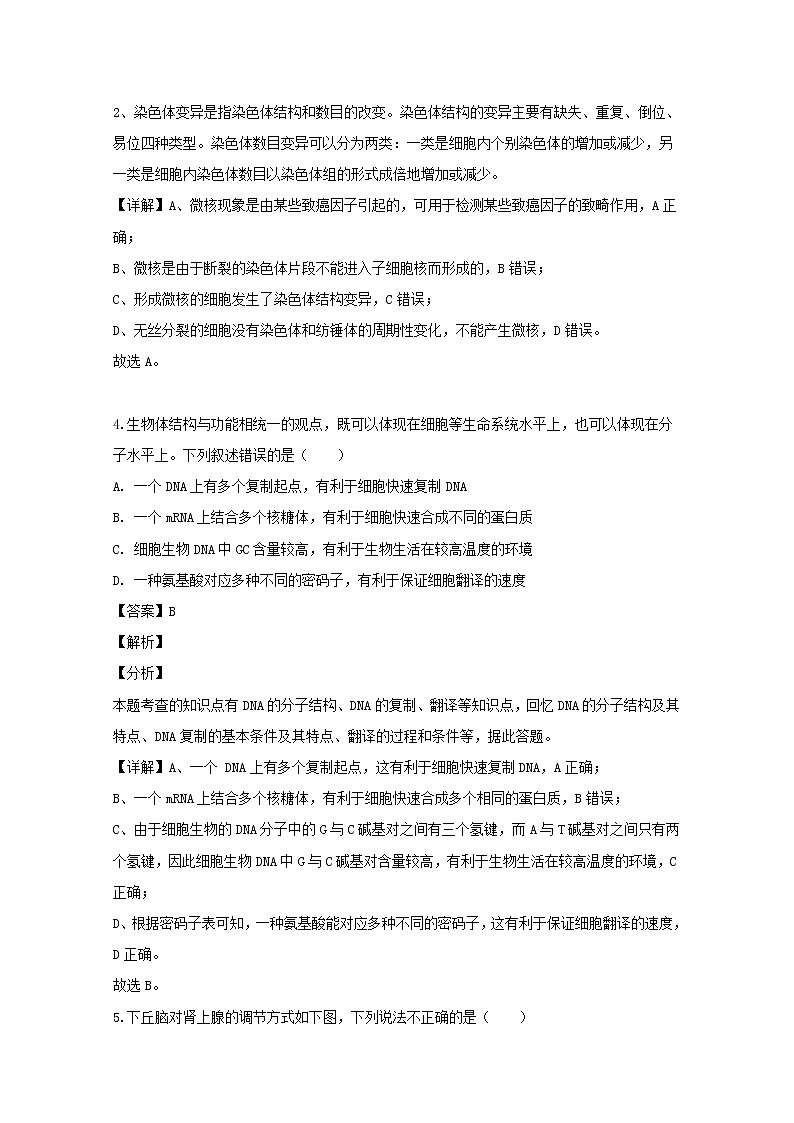 江西省南昌市2020届高三二模考试理综生物试题+Word版含解析03