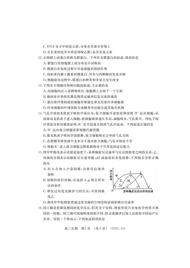 河南省洛阳市2021-2022学年高三上学期期中考试生物【试卷+答案】03