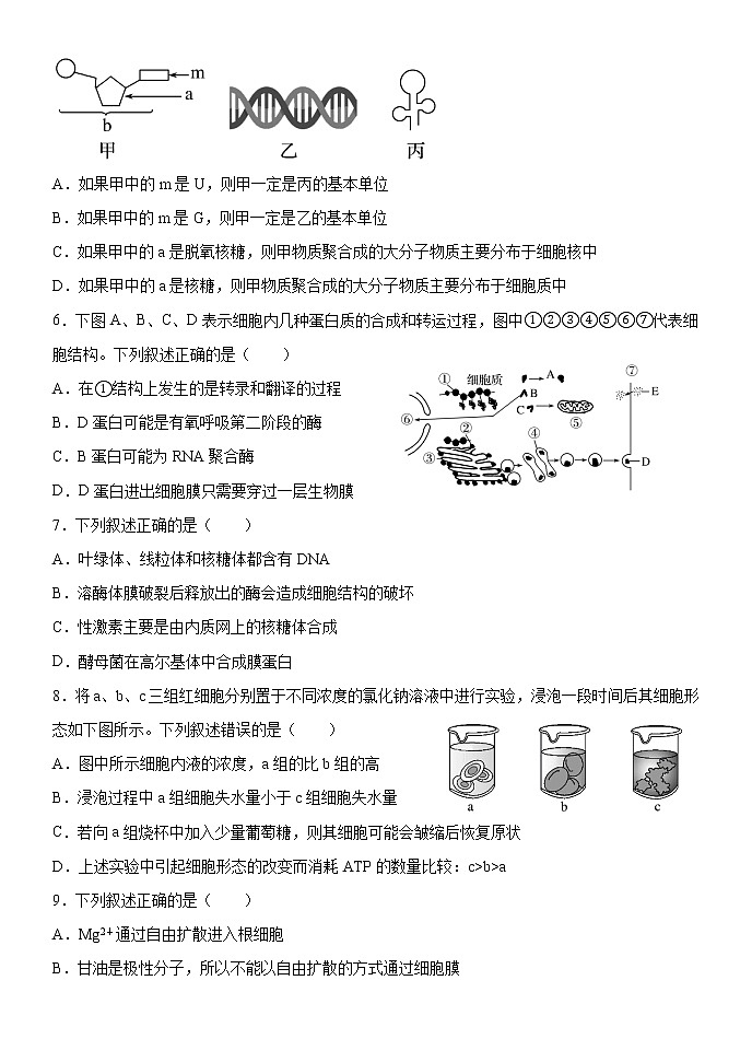 黑龙江省牡丹江市海林市朝鲜族中学2021-2022学年高三上学期10月月考生物【试卷+答案】02