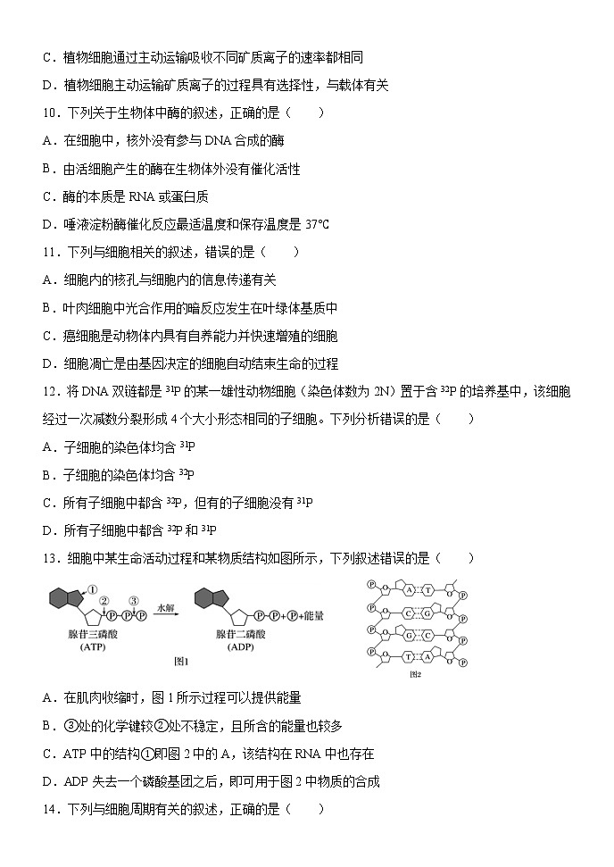 黑龙江省牡丹江市海林市朝鲜族中学2021-2022学年高三上学期10月月考生物【试卷+答案】03