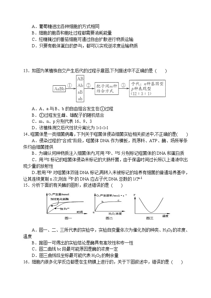 高三生物月考试题第3页