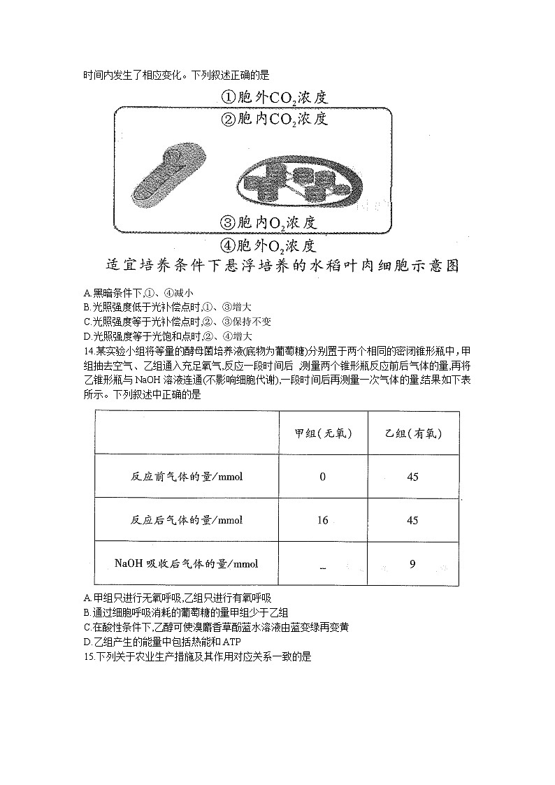 河南省中原名校2022届高三上学期第一次联考生物试题 含答案03