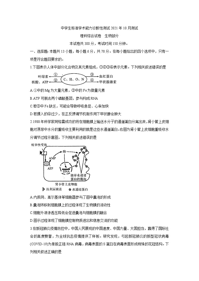 中学生标准学术能力测试2022届高三上学期10月测试 生物 含答案第1页