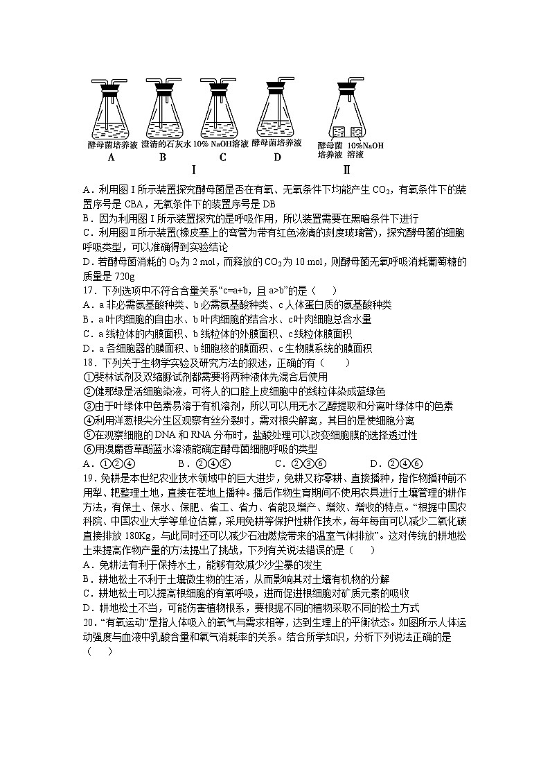 江西省丰城市第九中学2022届高三上学期第三次月考生物试题 含答案03