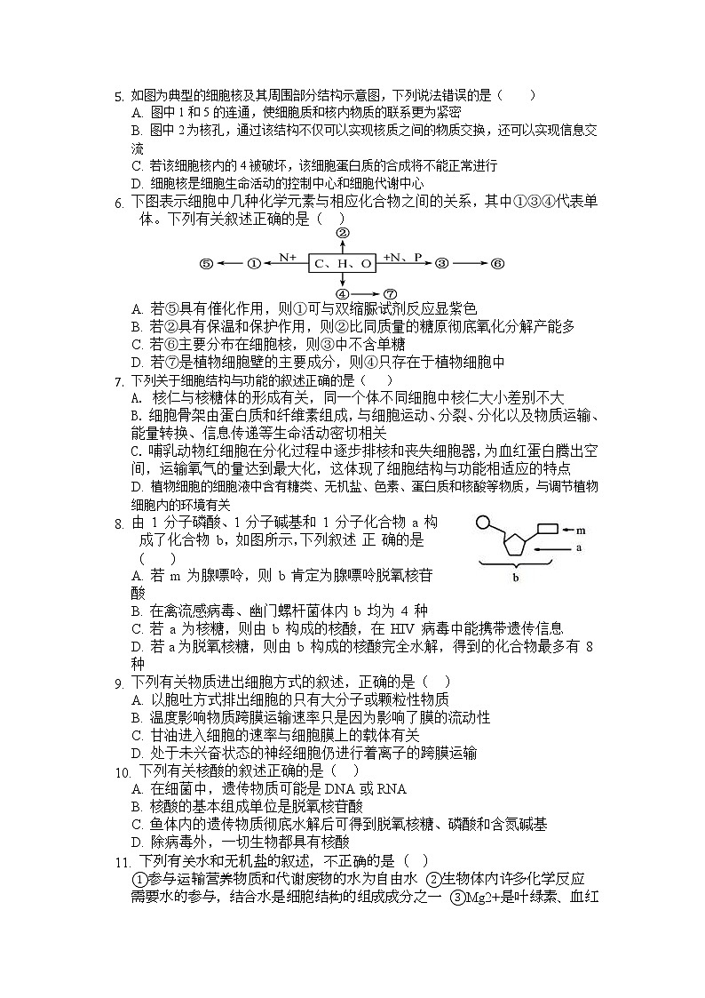 海南省海口市第四中学2022届高三上学期第一次月考生物试题 含答案第2页